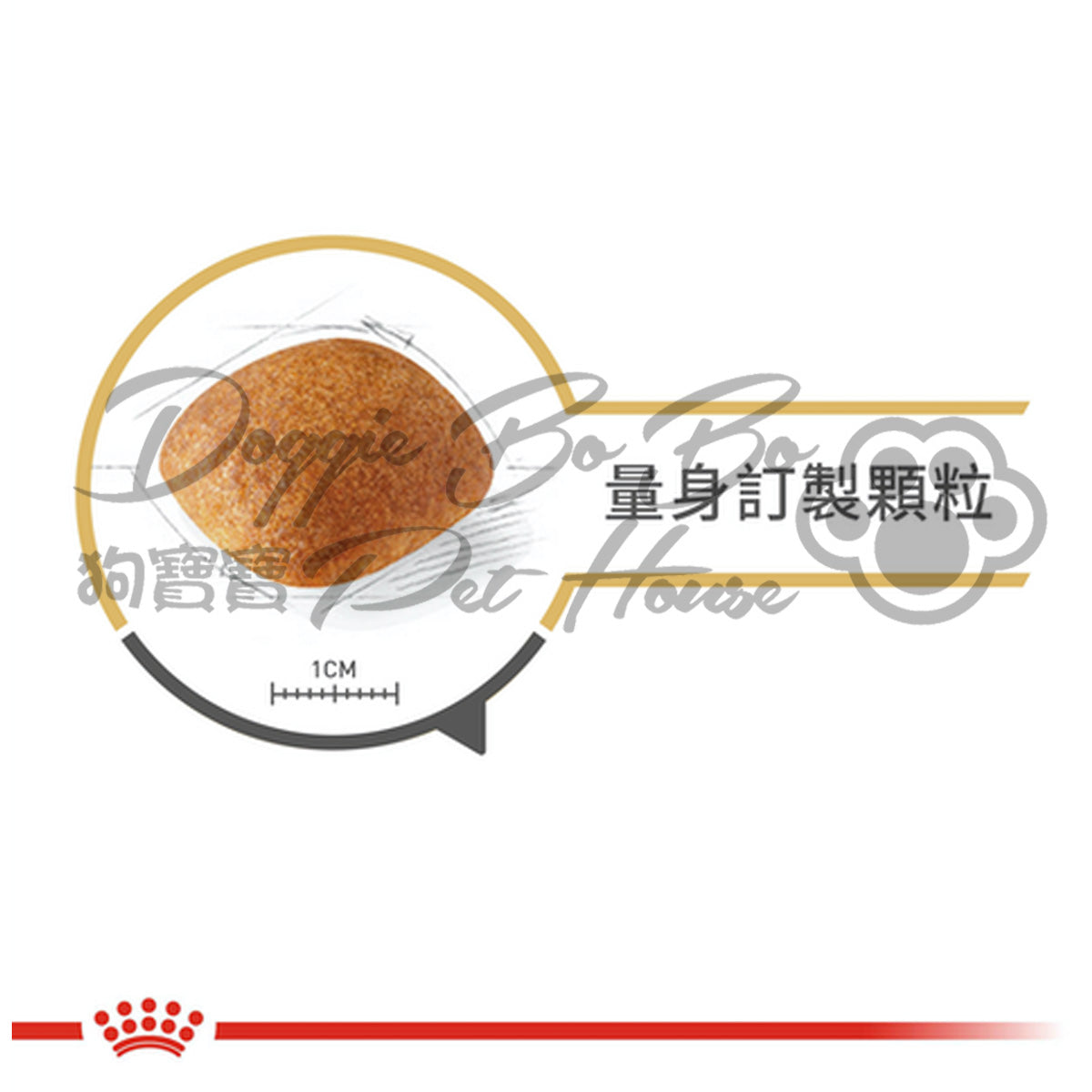 Royal Canin Golden Retriever Adult 金毛尋回犬成犬 12kg