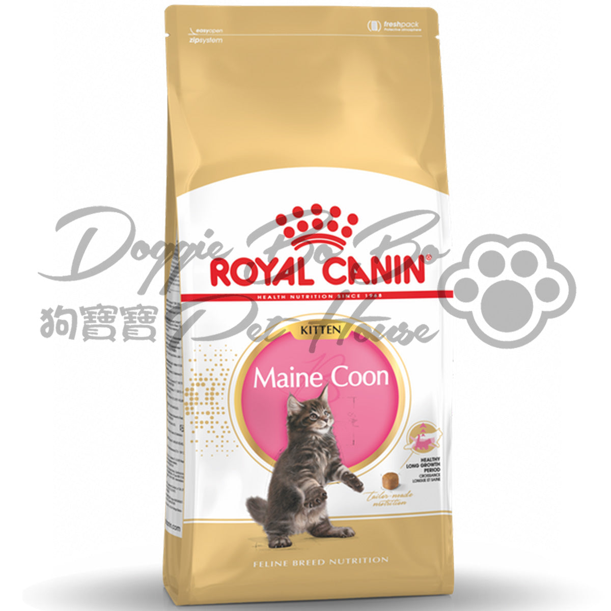 Royal Canin Maine Coon Kitten 緬因幼貓(15個月以下幼貓) 10kg