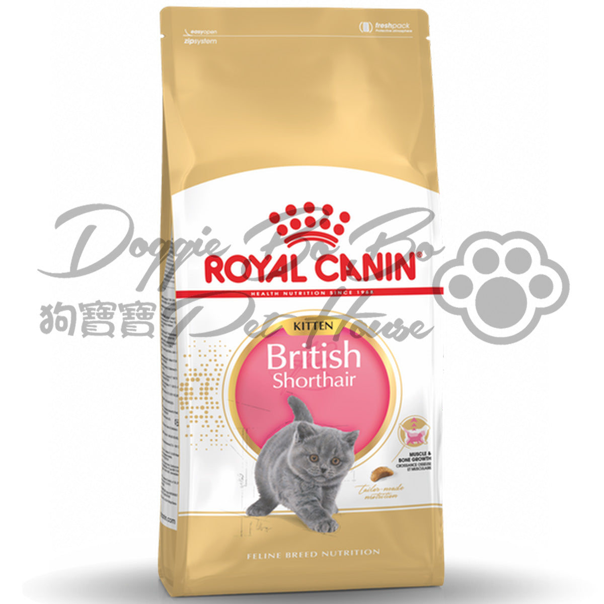 Royal Canin British Shorthair Kitten 英國短毛幼貓(4-12個月幼貓)