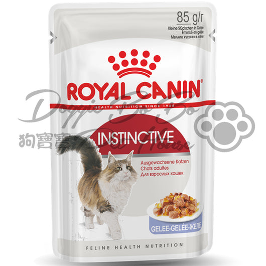 Royal Canin-秘製啫喱系列-滋味配方 85g x 12包