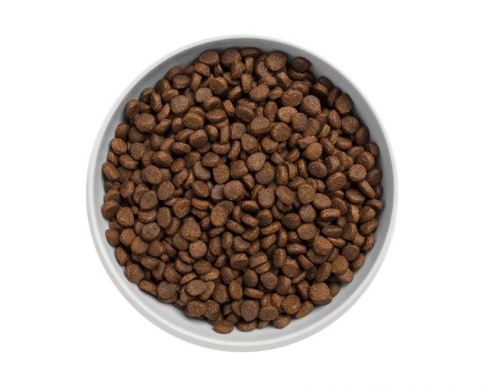 CANAGAN 天然無穀物貓乾糧 - 走地雞配方