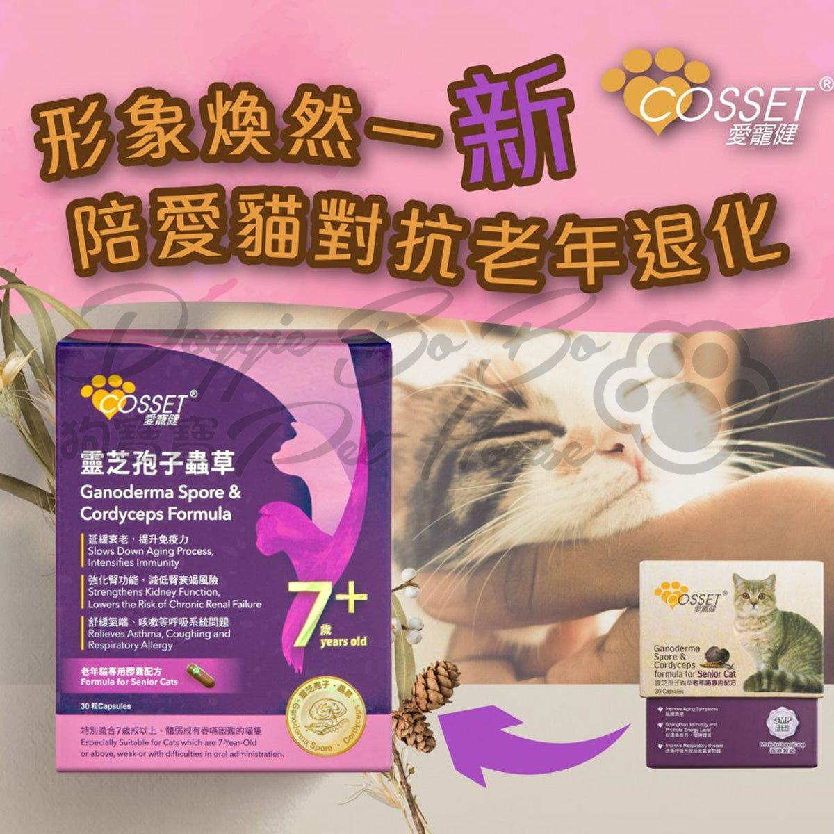 COSSET 愛寵健 老貓靈芝孢子蟲草膠囊 30粒