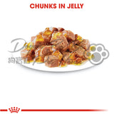 Royal Canin-秘製啫喱系列-美毛配方 85g x 12包