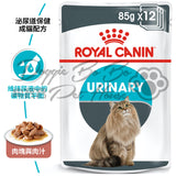 Royal Canin-精煮肉汁系列-防尿石配方 85g x 12包