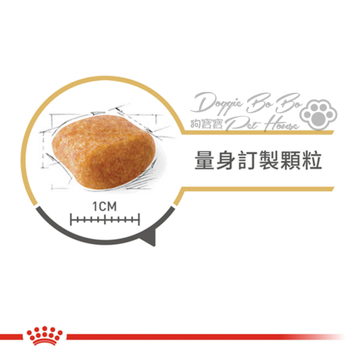 Royal Canin  Poodle Adult 貴婦成犬