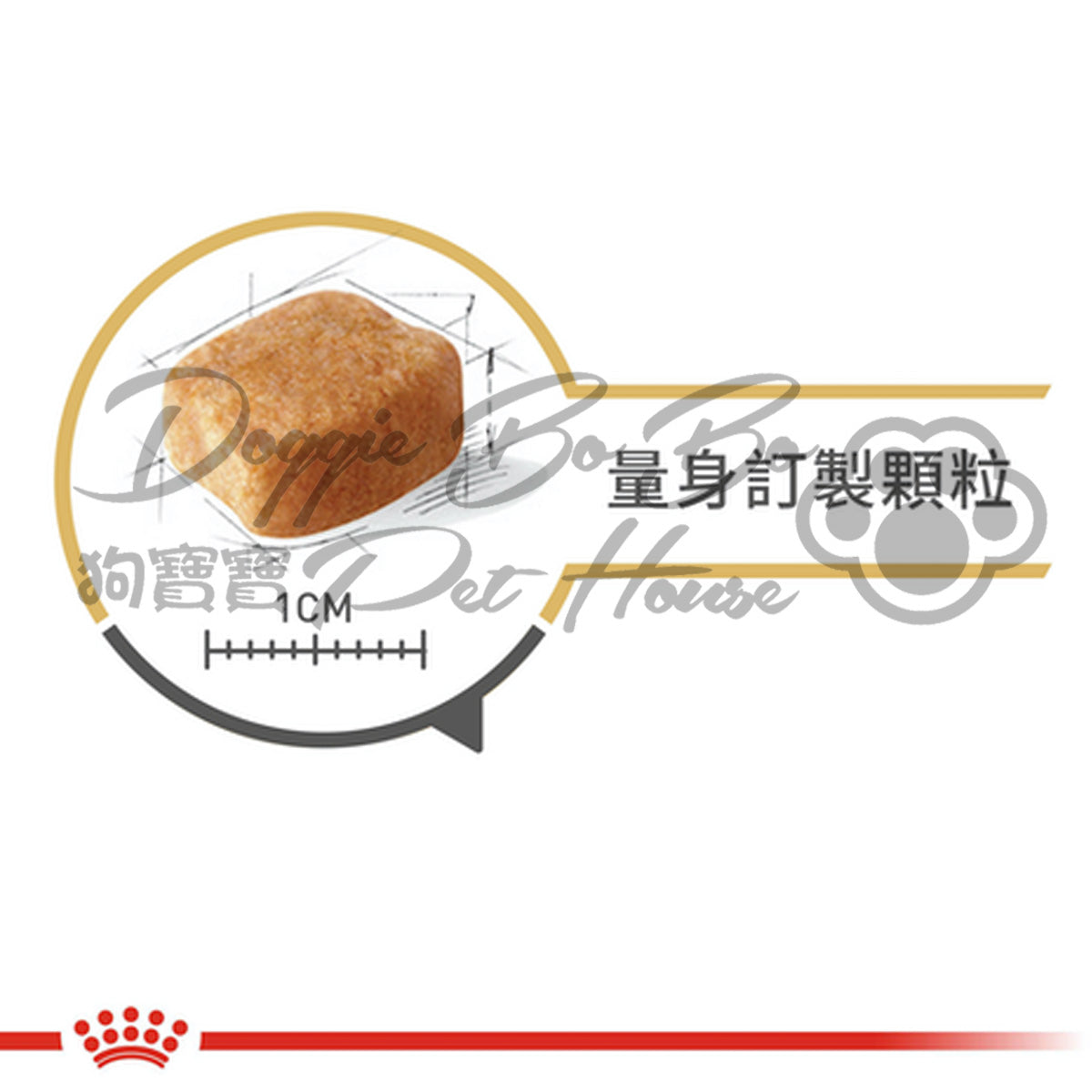 Royal Canin  Dachshund Adult 臘腸成犬