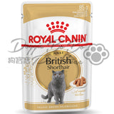 Royal Canin-精煮肉汁系列-英國短毛貓配方 85g x 12包
