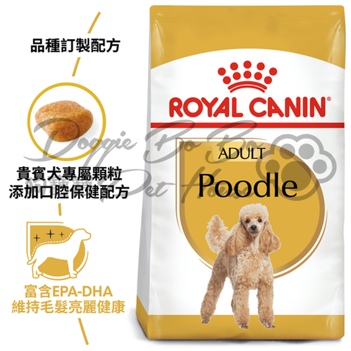 Royal Canin  Poodle Adult 貴婦成犬