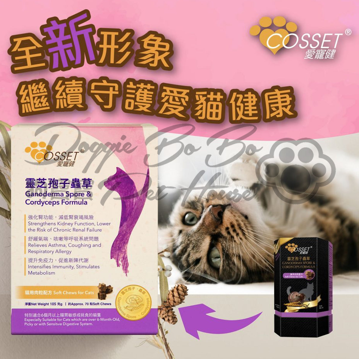 COSSET 愛寵健 貓隻專用靈芝孢子蟲草肉粒配方 70粒