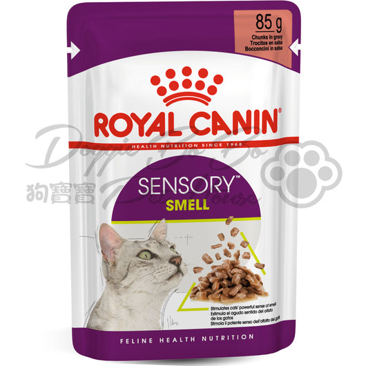 Royal Canin - 貓感濕糧SENSORY SMELL- 肉香(肉汁) 85g x 12包