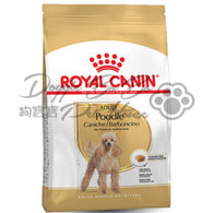 Royal Canin  Poodle Adult 貴婦成犬