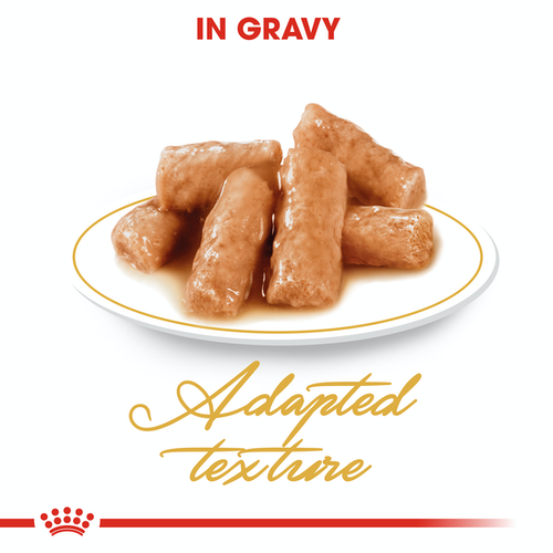 Royal Canin-精煮肉汁系列-英國短毛貓配方 85g x 12包